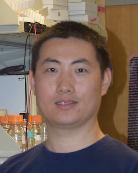 Image of Changkun Hu, Ph.D.